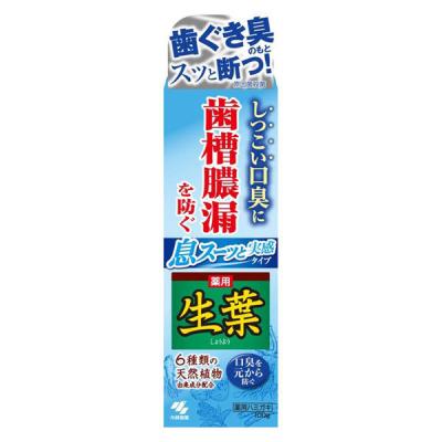 歯磨き粉 生葉 （しょうよう） 息スーッと実感タイプ 歯槽膿漏を防ぐ 薬用ハミガキ しつこい口臭に 100g 小林製薬