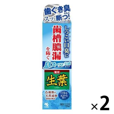 歯磨き粉 生葉 （しょうよう） 息スーッと実感タイプ 歯槽膿漏を防ぐ 薬用ハミガキ しつこい口臭に 100g 1セット（2本）小林製薬