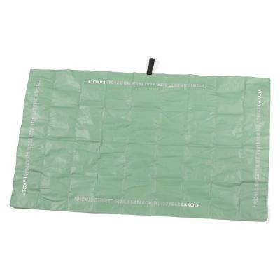 レジャーシート グリーン LAKOLE/ラコレ
