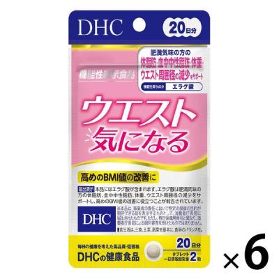 DHC ウエスト気になる 20日分/40粒 ダイエット・体脂肪・中性脂肪 サプリメント【機能性表示食品】　6袋