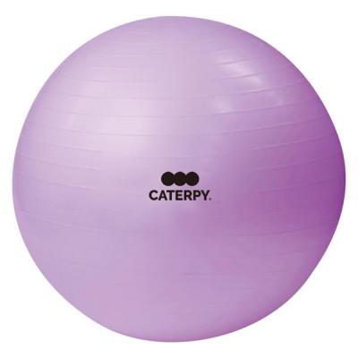 【アウトレット】【在庫処分品】キャタピー フィットネスボール 55cm パープル CF008 1球