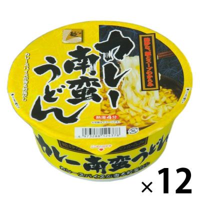 【アウトレット】麺のスナオシ カレー南蛮うどん 12食 カップラーメン