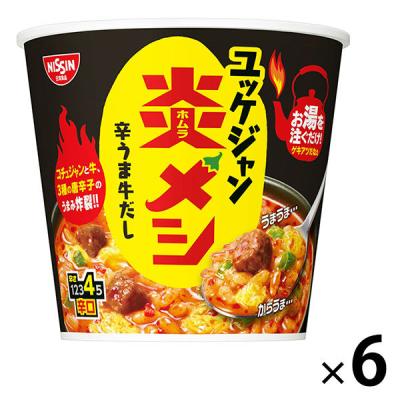 日清食品 日清炎メシ 辛うまユッケジャン 1セット（1個×6） カップライス カップご飯