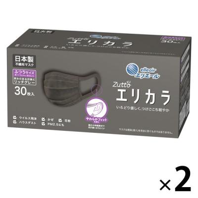 大王製紙 エリエール ハイパーブロックマスク エリカラ リッチグレー ふつうサイズ 1セット（30枚入×2箱）日本製 カラーマスク