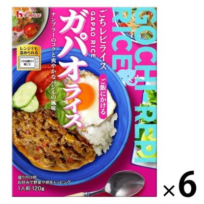 【アウトレット】ハウス食品 ごちレピライス ガパオライス 120g 1セット（1個 ×6） レンジ対応 レトルト