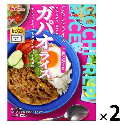 【アウトレット】ハウス食品 ごちレピライス ガパオライス 120g 1セット（1個×2） レンジ対応 レトルト