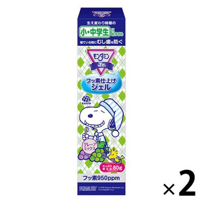 歯磨き粉 虫歯 子供 モンダミンJr. フッ素仕上げジェル グレープミックス味 80g 1セット(2本) 口臭 歯肉炎 アース製薬