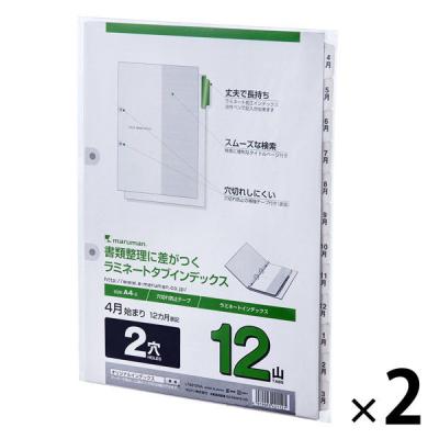 マルマン インデックス A4 ラミネートタブ 2穴 文字入り「4月〜3月」 LT4212NA 2組  オリジナル