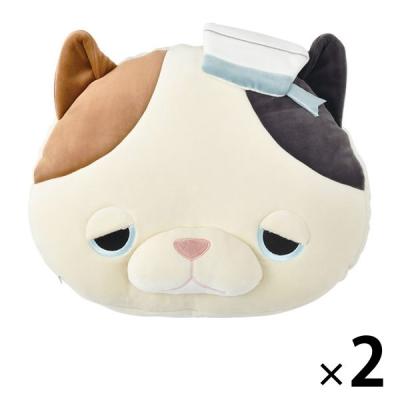 【アウトレット】りぶはあと クール背あてクッション ゆず 88513-10 1セット（2個：1個×2）　ひんやり　接触冷感　リラックス　エコ