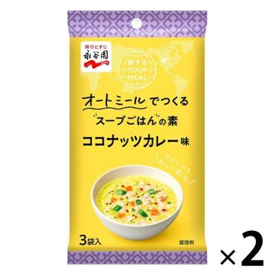 【ワゴンセール】旅するSOUP MEAL ココナッツカレー味 2袋 永谷園