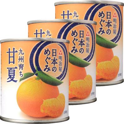 明治屋 日本のめぐみ 九州育ち 甘夏 1セット（3個）