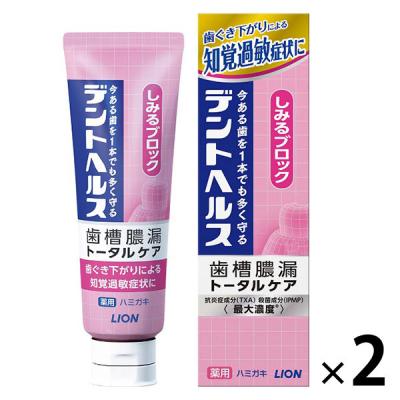 LOHACO - 歯磨き粉 デントヘルス 薬用ハミガキ しみるブロック 85g 1