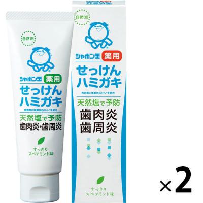 歯磨き粉 シャボン玉薬用せっけんハミガキ 80g 1セット（2本）シャボン玉石けん