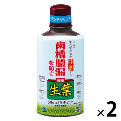 マウスウォッシュ ボトル 生葉液（しょうようえき） 歯槽膿漏を防ぐ デンタルリンス ハーブミント味 330mL 1セット（2本）小林製薬