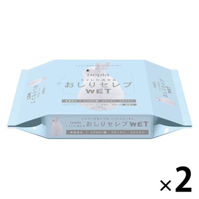 おしりセレブウェット 詰め替え 60枚入 1セット（2パック) お尻セレブ オシリせれぶ wet 保湿成分配合 抗菌容器 おでかけ 王子ネピア おしりふき