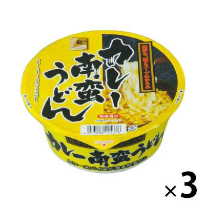 【アウトレット】麺のスナオシ カレー南蛮うどん 1セット（1食×3） カップラーメン