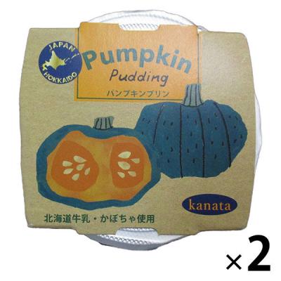 【アウトレット】北海道パンプキンプリン105g 1セット（1個×2） 田中製餡 プリン
