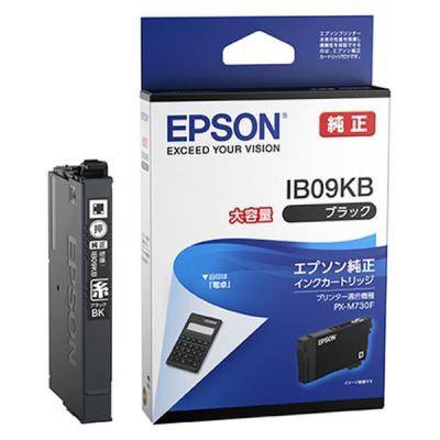 エプソン インクカートリッジ IB09KB 1個