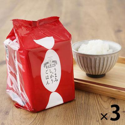 【200g×3食】山形のうまみしっかりごはん　3袋（計9食）パックご飯  オリジナル