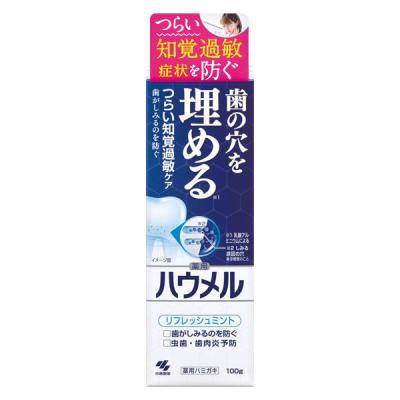 歯磨き粉 ハウメル 知覚過敏ケア 薬用ハミガキ 歯の穴を埋める 100g 1本 小林製薬