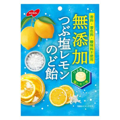 【アウトレット】塩分チャージ 飴 個包装 お配り菓子 無添加 つぶ塩レモン のど飴 90g 1個