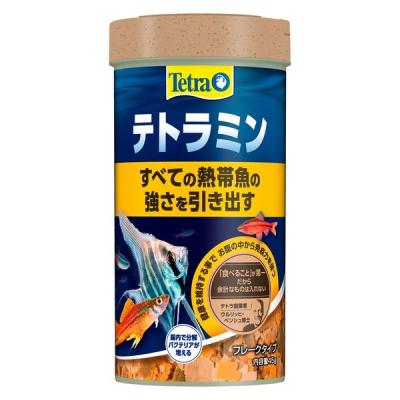 テトラ テトラミン 熱帯魚用 観賞魚用フード フレークタイプ 45g 1個 スペクトラムブランズジャパン