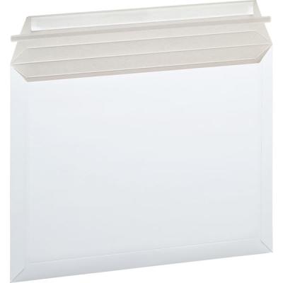 アスクル レターケース(開封テープ有り)A4 メール便対応 0250008310 1箱(100枚:25枚入×4パック) オリジナル