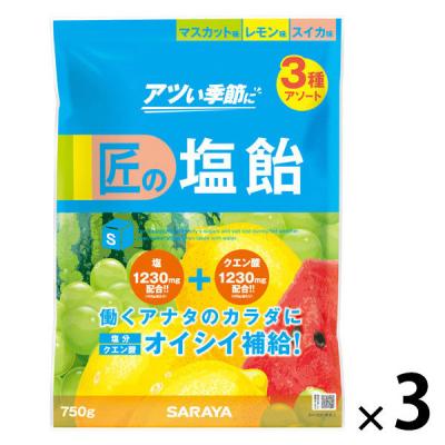 暑さ対策 塩分補給 塩分対策  匠の塩飴 3種アソート 1セット（1個×3）