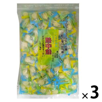 暑さ対策 塩分補給 塩分対策  業務用 熱中飴 1kg 1セット（1個×3）