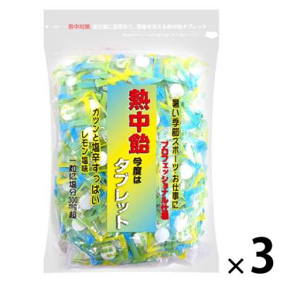 暑さ対策 塩分補給 塩分対策  業務用 熱中飴タブレット 620g 1セット（1個×3）