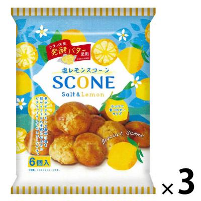 暑さ対策 塩分チャージ 塩レモンスコーン 6個入 1セット（1個×3）
