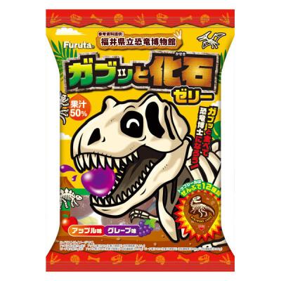 LOHACO - 【ワゴンセール】ゼリー ガブッと化石ゼリー 210g 1個
