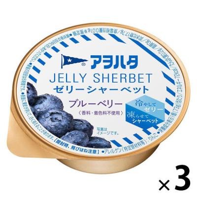 LOHACO - 暑さ対策 塩分チャージ 忍者めし アイススラリー すっきり