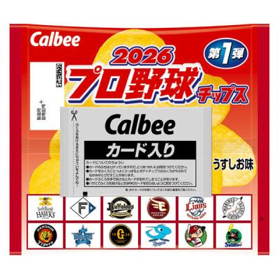 ポテトチップス 食べきりサイズ ２０２６プロ野球チップス　22g 1個