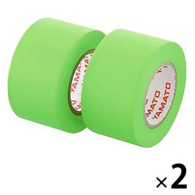 ヤマト メモックロールテープ詰替用 WR-25H-LI 2パック(2巻入×2)