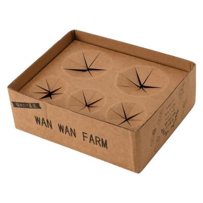 【アウトレット】お野菜フレンズBOX 1個 犬用 おもちゃ アルクロース