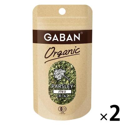 【アウトレット】ハウス食品 GABAN ギャバン オーガニック パセリホール 4g 2個