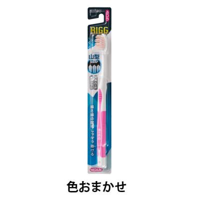 LOHACO - リグ 山型ハブラシ ふつう 山型カット毛 歯ブラシ 1本 エビス