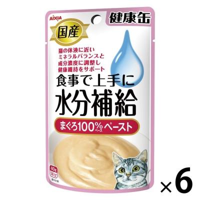 健康缶 水分補給まぐろペースト 40g 1セット（1袋×6）国産 キャットフード 猫用 ウェット パウチ