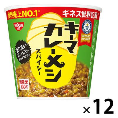 日清食品 日清キーマカレーメシ スパイシー 1セット（1個×12）カップライス カップご飯