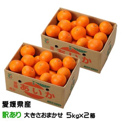 お歳暮 みかん あいか 5kg×2箱  訳あり 大きさおまかせ 紅まどんなと同品種 蜜柑 ミカン ギフト お取り寄せ