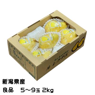 お歳暮 洋梨 ルレクチェ 良品 5玉〜9玉 2kg 新潟県産 ＪＡ新潟 梨 ナシ なし ギフト