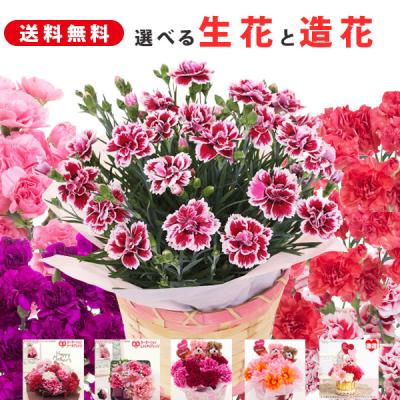 遅れてごめんね 母の日 カーネーション 花 生花５号 鉢植え 送料無料 フラワーケーキ 和フラワーアレンジ ガーベラアレンジ 母の日ギフト 母の日プレゼント
