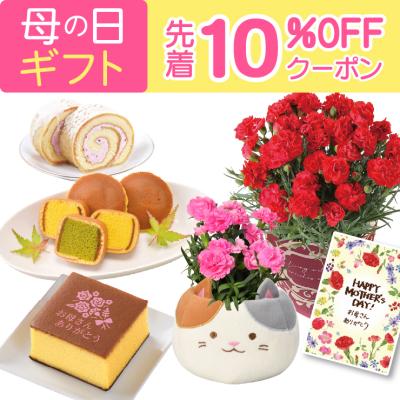 母の日 プレゼント 2026 花 ギフト カーネーション 鉢植え 花鉢 5号 鉢 鉢植 お花 鉢花 スイーツ 花とスイーツ おしゃれ 5号鉢 お菓子 文明堂 カステラ