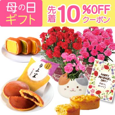 母の日 プレゼント 2026 花 ギフト カーネーション 鉢植え 花鉢 5号 鉢 鉢植 お花 鉢花 スイーツ 花とスイーツ おしゃれ 5号鉢 お菓子 文明堂 カステラ