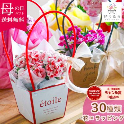 ＼母の日 遅れてごめんね配送／花うるる 選べるギフトバッグor韓国風フリルラッピング『カーネーション・カランコエ』花 鉢植え おしゃれ 珍しい 鉢 苗 春 花鉢