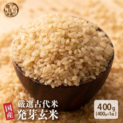 国産 発芽玄米 400g お試し 古代米 雑穀 雑穀米 ダイエット 置き換え 食品 食物繊維 送料無料 ヘルシー＆スマイル 爆買