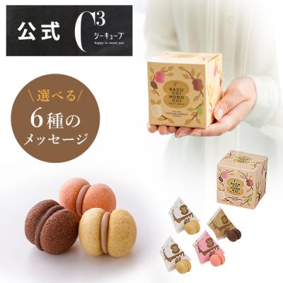 プチギフト お菓子 退職 結婚式 おしゃれ 個包装 プレゼント ギフト お礼 ノベルティ スイーツ シーキューブ C3 サクッチ・ホロッチ 4個入