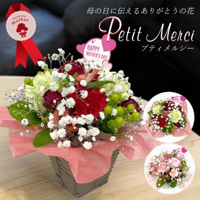 遅れてごめんね 母の日 花 ギフト カーネーション アレンジメント 生花 バラ カスミソウ かすみそう ギフト 送料無料 2026  [母の日 プティメルシー]【JF】