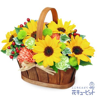 【父の日ギフト】花キューピット日付指定可  2026年 プレゼント ギフト ひまわりのハーモニーバスケット（オレンジ）